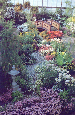 Cincinnati Ohio Krohn Conservatory Chrysanthemum Display Fall Postcard