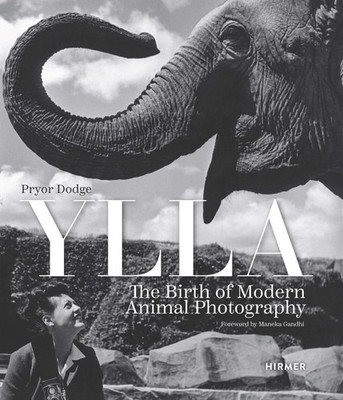 Ylla Pryor Dodge