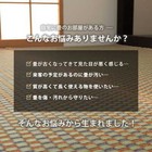 Foto 14 di 19