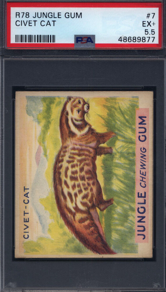 1930 R78 Jungle Gum #7 Civet Cat PSA 5.5 | eBay