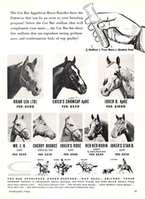 Cee Bar Appaloosa Horse Ranches Stud Services Harvey C. Fruehauf Mag Print Ad