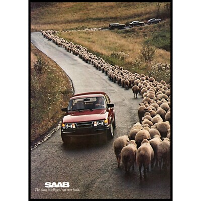1984 Saab 900 Turbo 2 Page Vintage Print Ad Sheep Herd Country