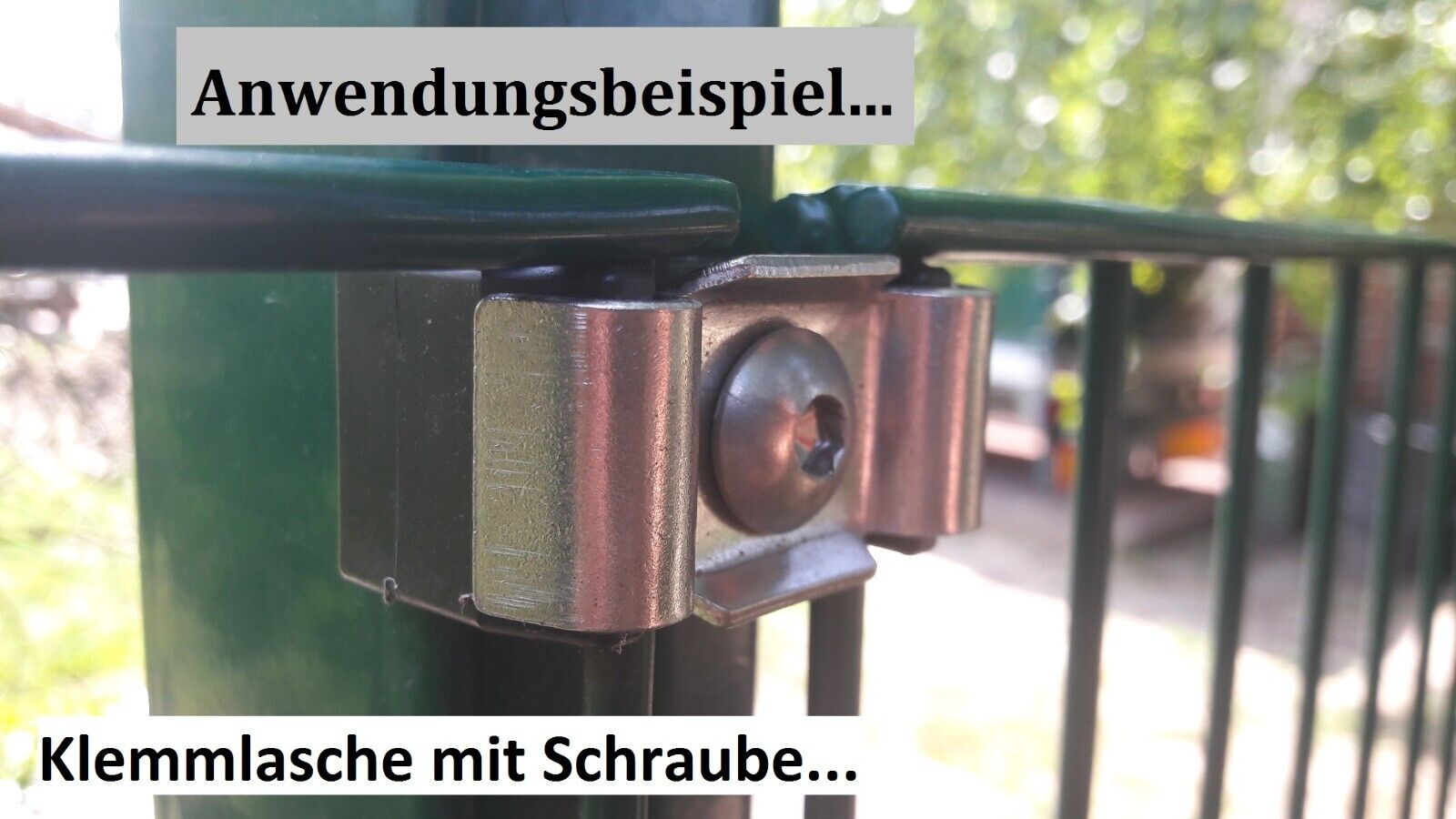 Bild 2 von 8