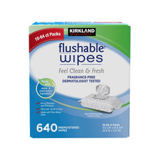 New Fresh Kirkland Moist Flushable Wipes - Unscented, 640 Wipes, Clean Soft Wipe