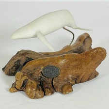 John Perry Pellucida Humpback Whale On Burlwood