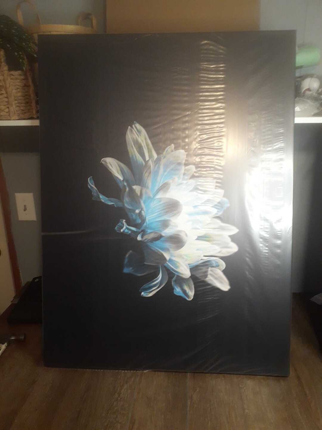 Picture 2 of 7