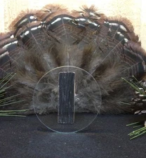 1- Pre-cut Glass  Disc for Friction Pot Turkey Calls  2 1/2 " "Build Your Own "