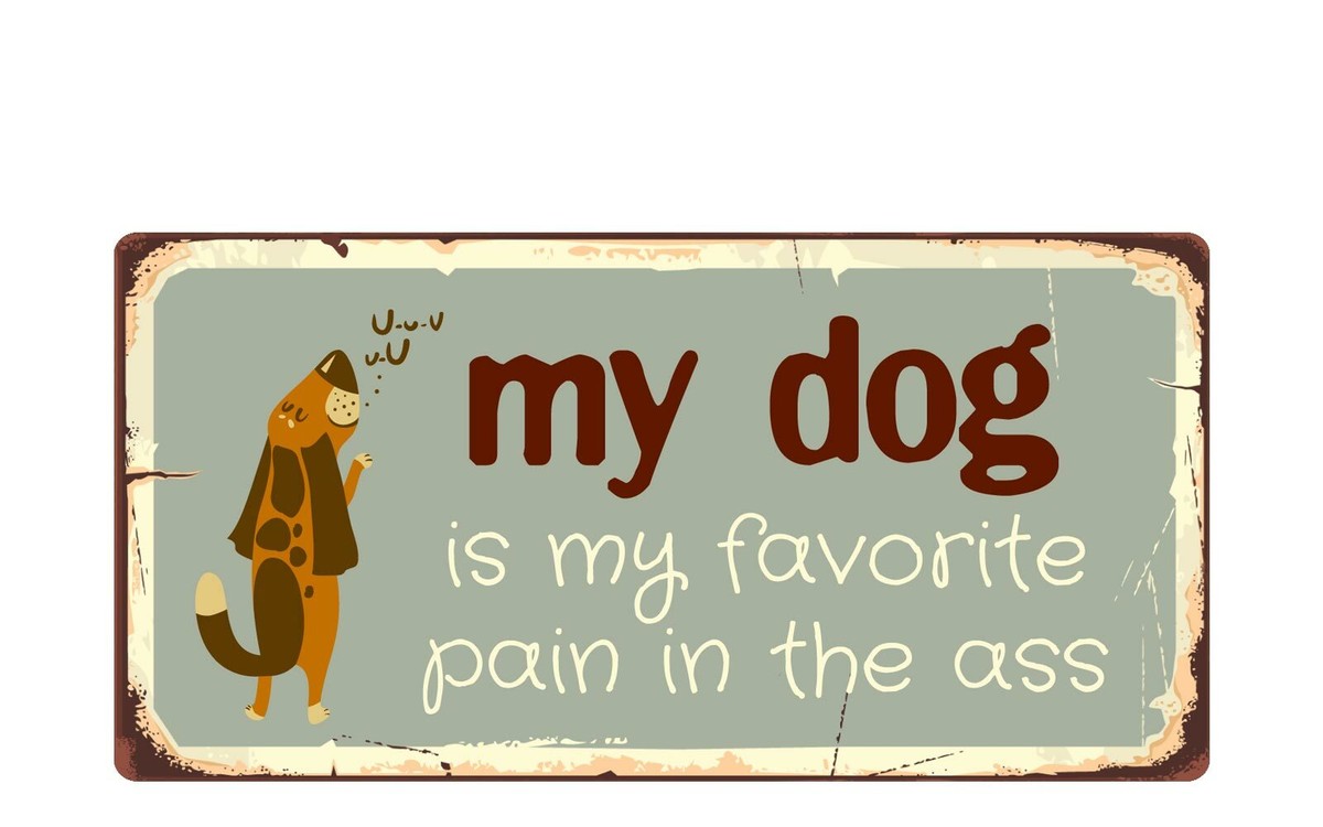 2343HS My Dog Is My Favorite Pain In The Ass 5