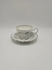 Johann Haviland "Blue Garland" 2 5/8 Inch Footed Cup & Saucer Set