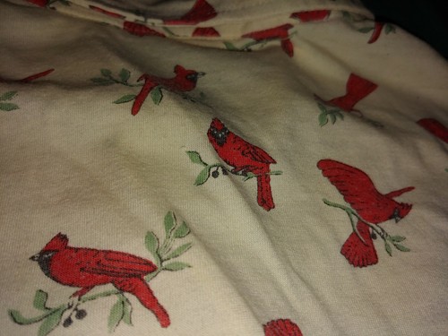 VTG 1970s Cardinal Print Knit Button Up Longsleeve Shirt Top Cottagecore Size L - Picture 9 of 9