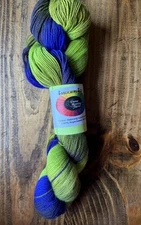 Done Roving Yarn Frolicking Feet “Dancing Leprechauns” Superwash Merino 480y