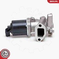 Esen SKV AGR Ventil 14SKV014 FüR Suzuki Lancia Opel Tigra Meriva S07 500 X01 12V