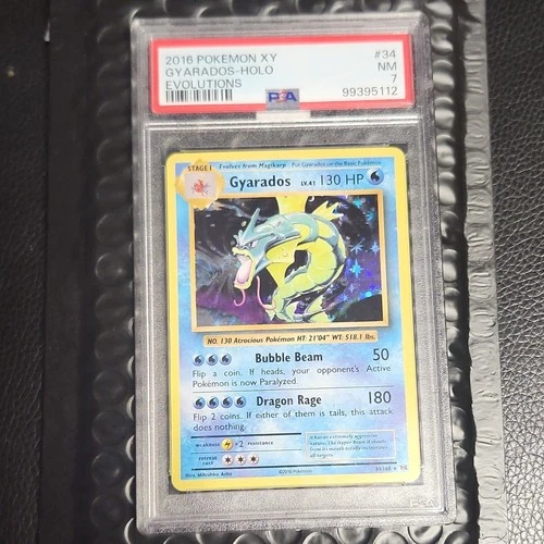 Pokémon Gyarados 34/108 Evolutions Holo Rare PSA 7 Stage 1 2016 English