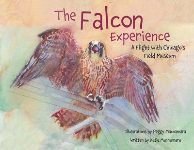The Falcon Experience | A Flight with Chicago's Field Museum | Macnamara (u. a.)