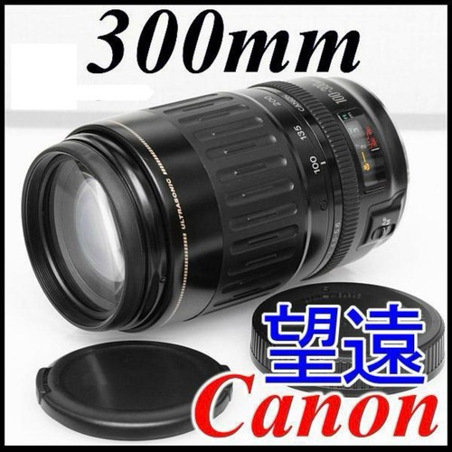 Canon 100-300 telephoto lens ◆ Canon ◆ EOS Kiss ◆ EF