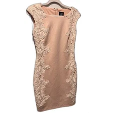 JAX Lace Detail Bodycon Dress