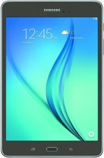 Samsung Galaxy Tab Wi-Fi, 8.9in - Metallic Gray TWO OF THEM w/CASES BUNDLED