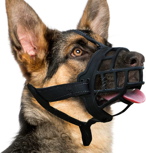 basket muzzle