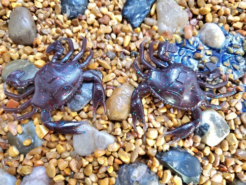 2" Crabby - Picture 5 of 5