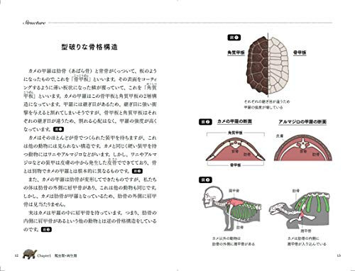 Animal Encyclopedia Through Human Body by Paleontologist Satoshi Kawasaki - Picture 3 of 6
