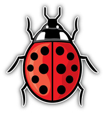 Ladybug Animal Car Bumper Sticker Decal 4" x 5"