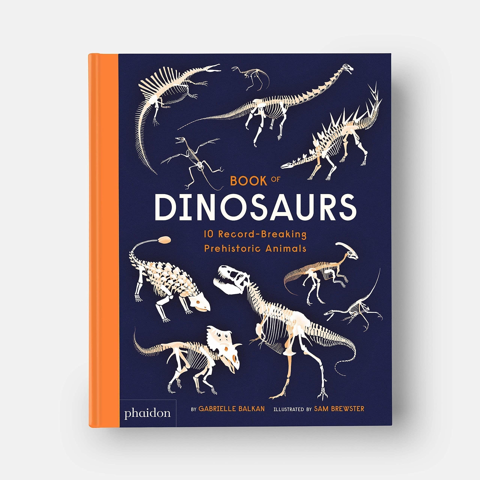 Thumbnail - Gabrielle Balkan | Book Of Dinosaurs | Buch | Englisch (2022) | 48 S.