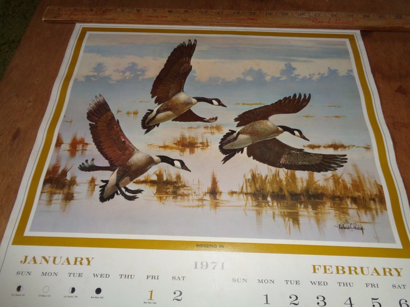 Winged In Richard Bishop 1971 Canada Geese Calendar Print 