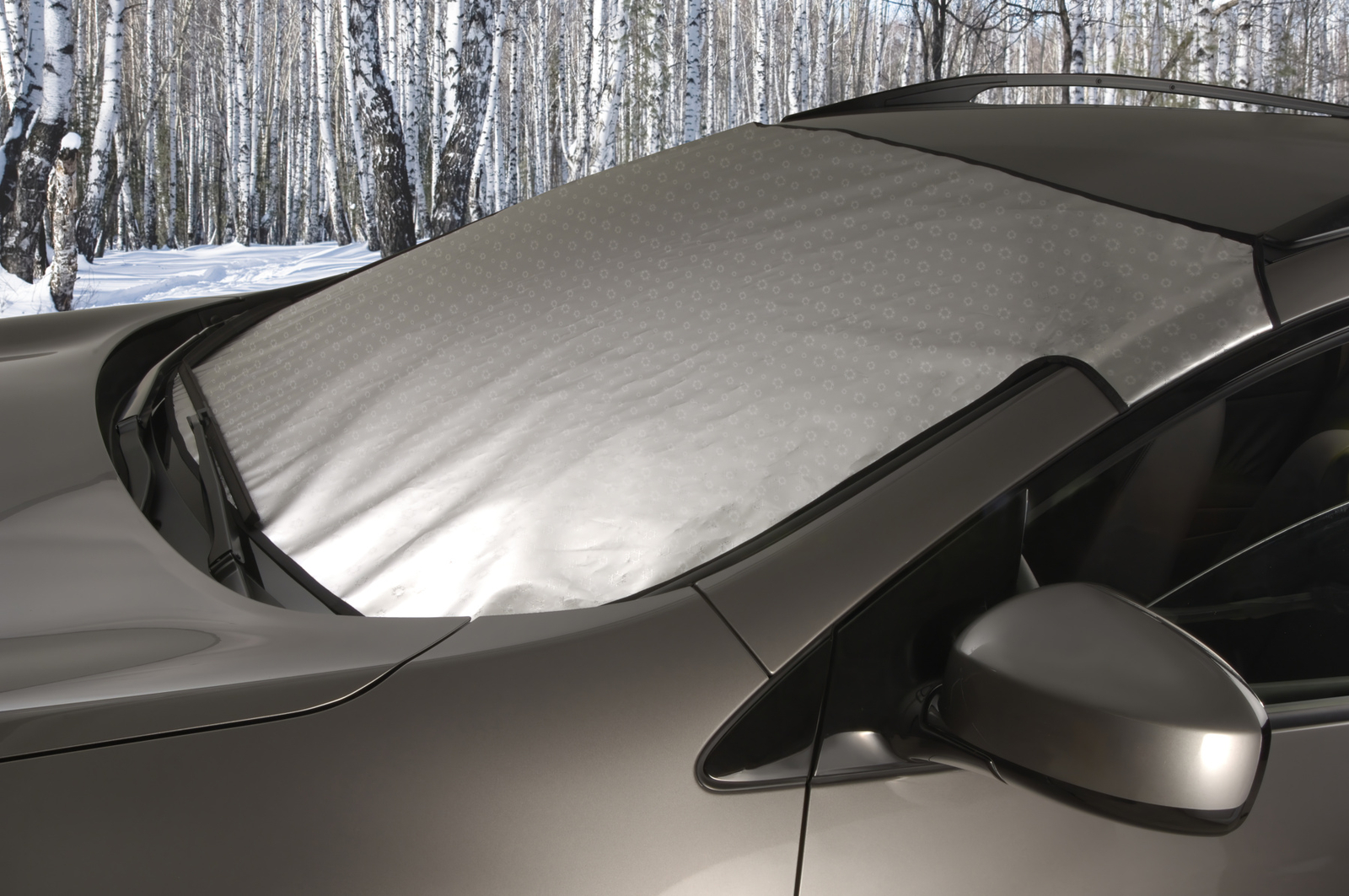 Custom Fit Snow Shield for 2006-2018 Aston Martin V8 Vantage