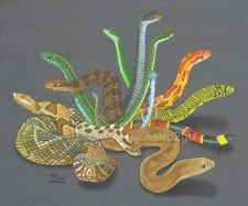 SNAKES NEW-Copperhead Diamondback Herpetology Reptiles Science Nature T shirt