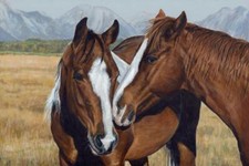 Ceramic Backsplash Tile Mural Horse Animal Kitchen/Bathroom - Making Friends