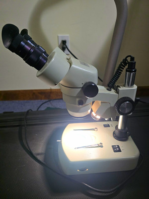 Carolina Biological Wolfe Stereo Binocular Microscope Upright 10x-20x 99H071035