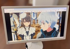 EIZO FlexScan 23 Inch EV2336W LCD Monitor Tested