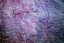 BLUE BUBBLES ON PURPLE MOTTLED BATIK - 100 COTTON FABRIC