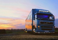 Schwarz DachträGer +Led+ Rec Flecken FüR Volvo Fh Serie 2 3 Low Standard Sleeper