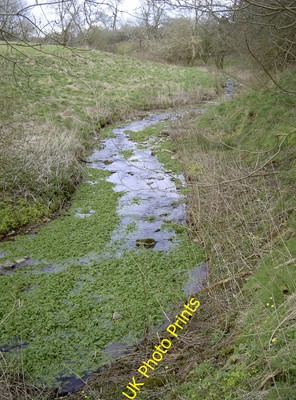 Foto 6x4 Langsam genug für Teichkraut Ostwasser\/ST5350 Dieser kleine Bach c2016