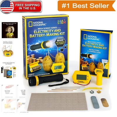 DIY Potato Battery Kit with Coin-Powered Flashlight - Fun Electrical Circuit Toy