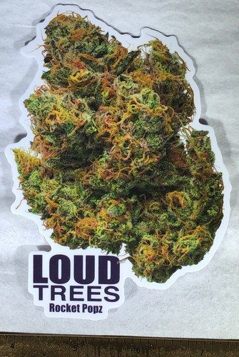 LOUD TREES INDOOR GROWN MARIJUANA CANNABIS FLOWERS STICKER HUMBOLDT CALIFORNIA - Picture 6 of 12