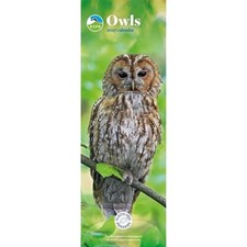 RSPB, Owls 2027 Slim Month To View Wall Calendar