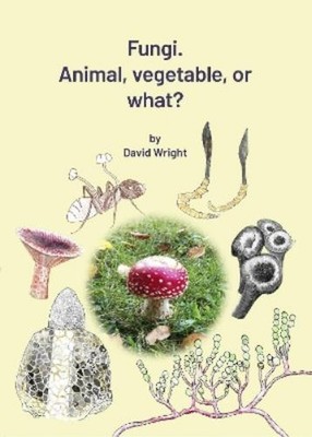 David Wright Fungi. Animal, Vegetable or What? (Taschenbuch)