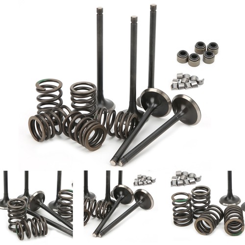 Cylinder Head Intake Exhaust Valve Kit Fit For GRIZZLY 660 YFM660F 4WD 2002‑2008 - Picture 4 of 22