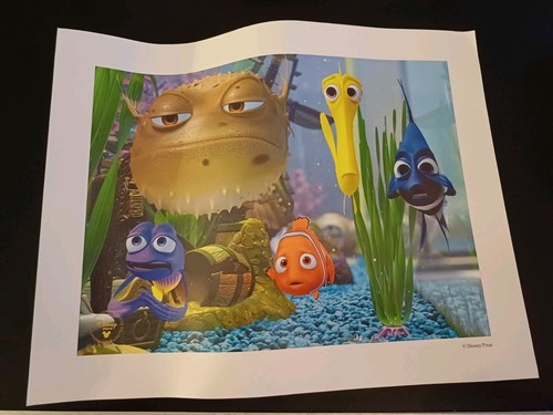 Finding Nemo 2003 Disney Store Exclusive Commemorative Lithograph Art Double Sid