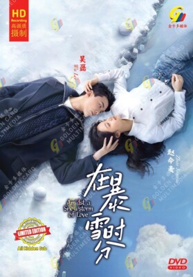 DVD Chinese Drama Amidst A Snowstorm Of Love 在暴雪时分 (1-30 End) English Subtitle