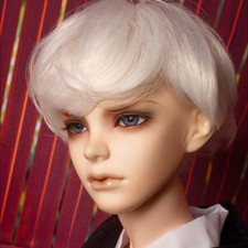 Dollmore OOAK 1/3 BJD 8-9 inch Saiz Cut Wig White
