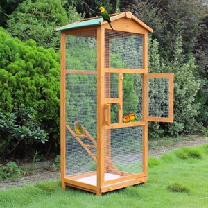 bird stand outdoor