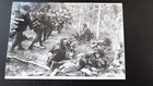 WW2 German Photo: Jaeger of 6th SS Gerbirgs Div 'Nord', Lapland, Finland