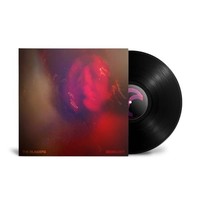 Blinders - Beholder - Standard Vinyllimited Edition - F99Z