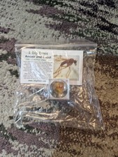 Fossilsed Amber And Copal Insect Fossil