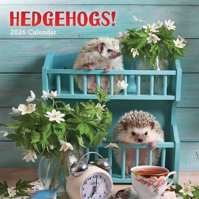 CAROUSEL WORLDWIDE Hedgehogs! Calendar 2026 - Humour - Month To View