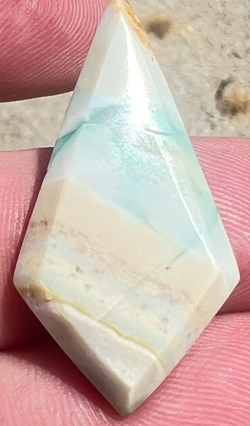 Indonesian Blue Opalized wood Diamond Cabochon 19cts