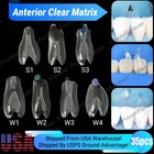Anterior Clear Matrix Dental Transparent Bt Matrices Fit BioClear Black Triangle